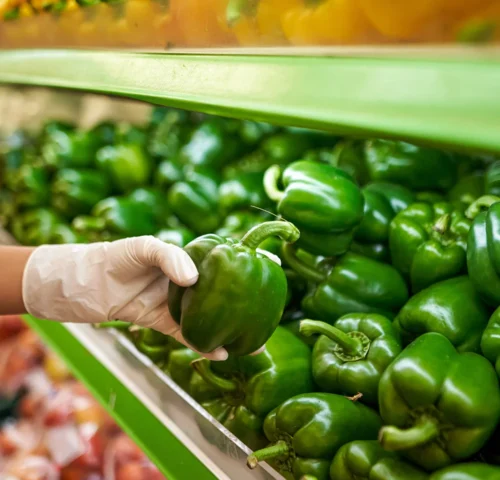 The farm offers a range of organic agricultural products produced on the farm, such as fruits and seasonal crops, which visitors can purchase directly and enjoy high-quality, fresh, natural products.