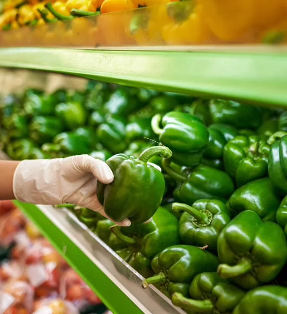 The farm offers a range of organic agricultural products produced on the farm, such as fruits and seasonal crops, which visitors can purchase directly and enjoy high-quality, fresh, natural products.