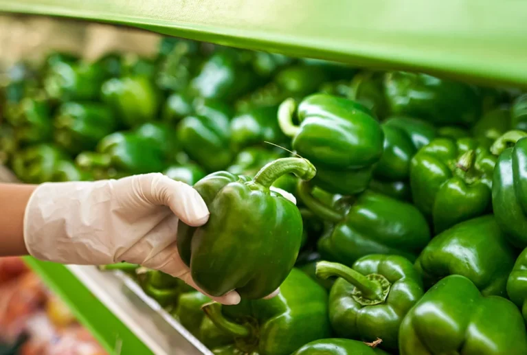 The farm offers a range of organic agricultural products produced on the farm, such as fruits and seasonal crops, which visitors can purchase directly and enjoy high-quality, fresh, natural products.