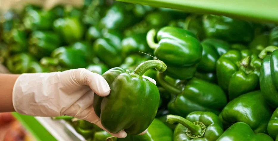 The farm offers a range of organic agricultural products produced on the farm, such as fruits and seasonal crops, which visitors can purchase directly and enjoy high-quality, fresh, natural products.